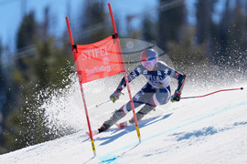 Macuga's Injury Skiing