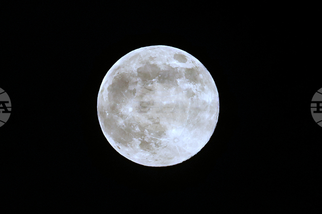 Philadelphia Daily Life Moon