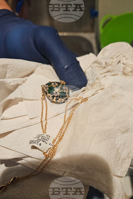 New Zealand Octopussy Pendant