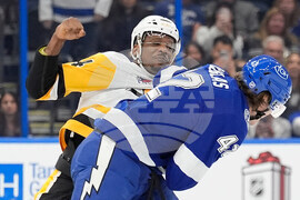Penguins Lightning Hockey