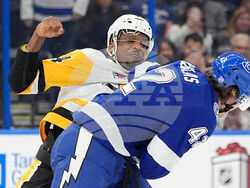Penguins Lightning Hockey