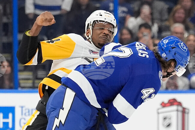 Penguins Lightning Hockey