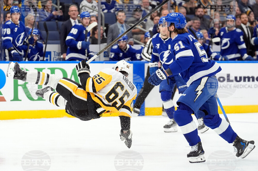 Penguins Lightning Hockey