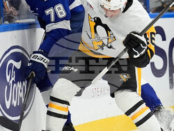 Penguins Lightning Hockey