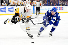 Penguins Lightning Hockey