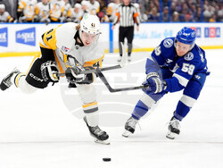 Penguins Lightning Hockey