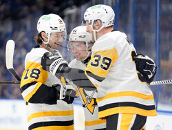 Penguins Lightning Hockey