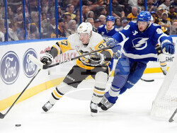 Penguins Lightning Hockey