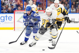 Penguins Lightning Hockey