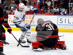 Maple Lesfs Hurricanes Hockey