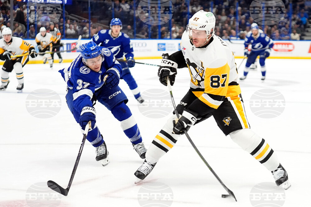 Penguins Lightning Hockey