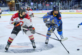 PWHL Charge Sceptres Hockey