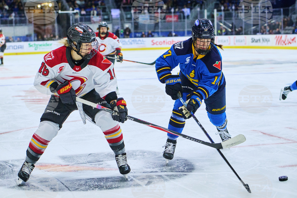PWHL Charge Sceptres Hockey