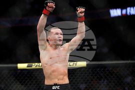 UFC 323 Preview