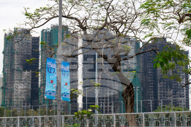 Hong Kong Election Preview