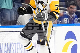 Penguins Lightning Hockey