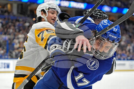 Penguins Lightning Hockey