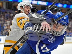 Penguins Lightning Hockey