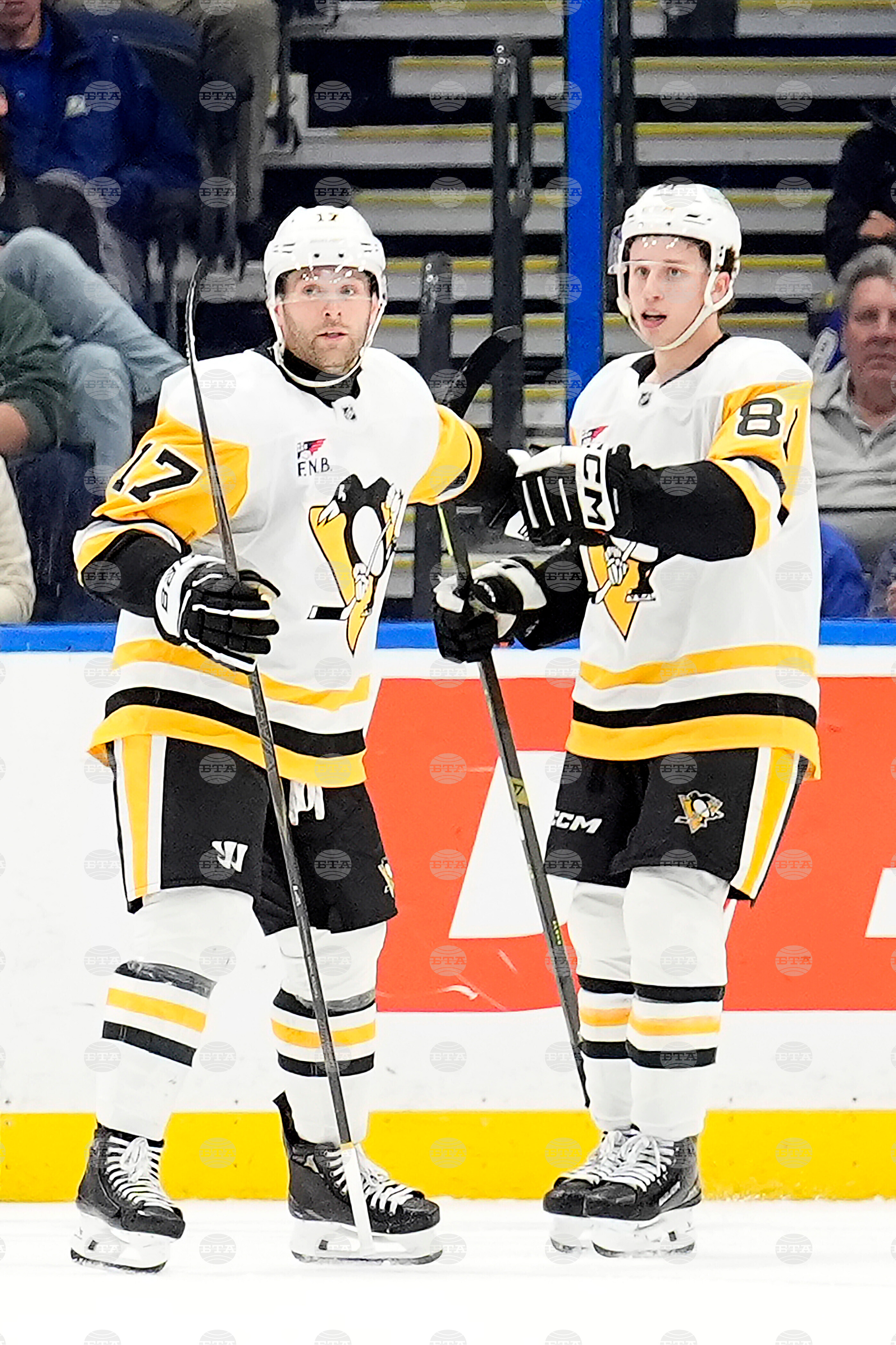 Penguins Lightning Hockey