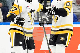 Penguins Lightning Hockey