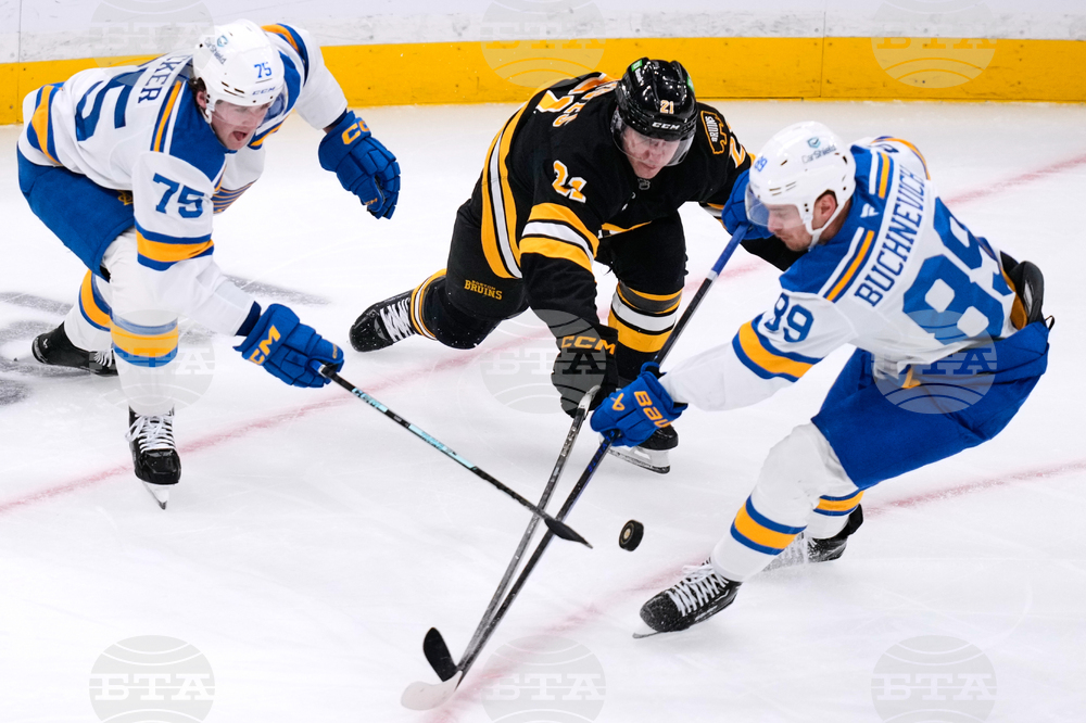 Blues Bruins Hockey