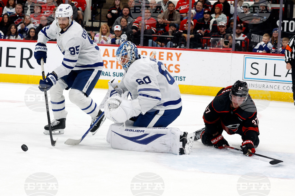Maple Leafs Hurricanes Hockey