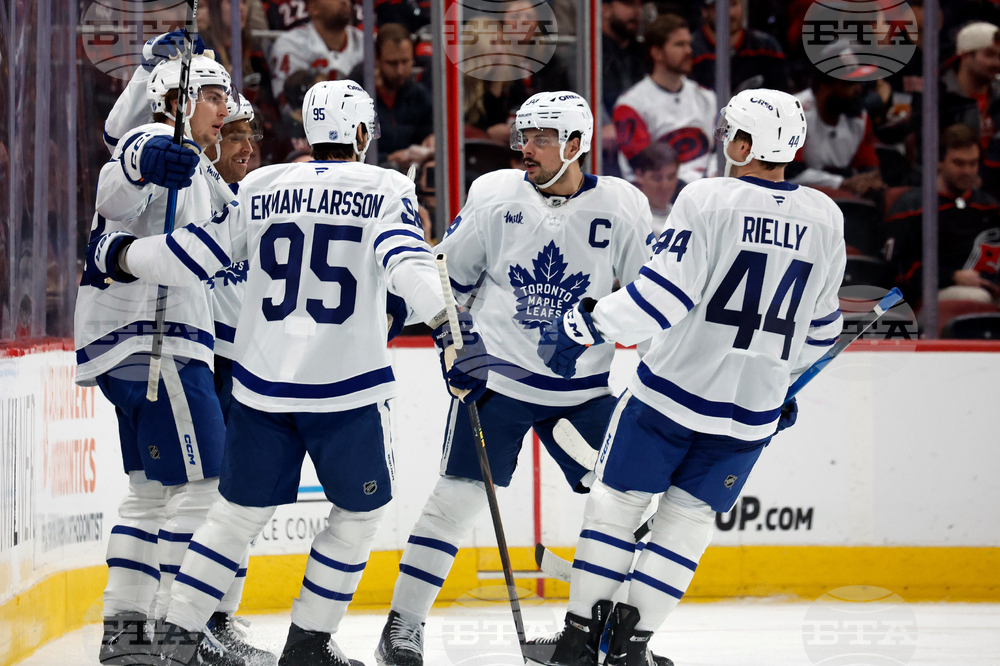 Maple Leafs Hurricanes Hockey