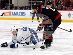 Maple Leafs Hurricanes Hockey