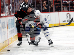 Maple Leafs Hurricanes Hockey