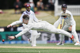 New Zealand West Indies Cricket