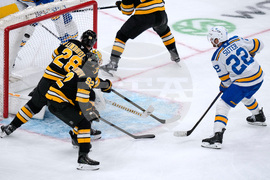Blues Bruins Hockey