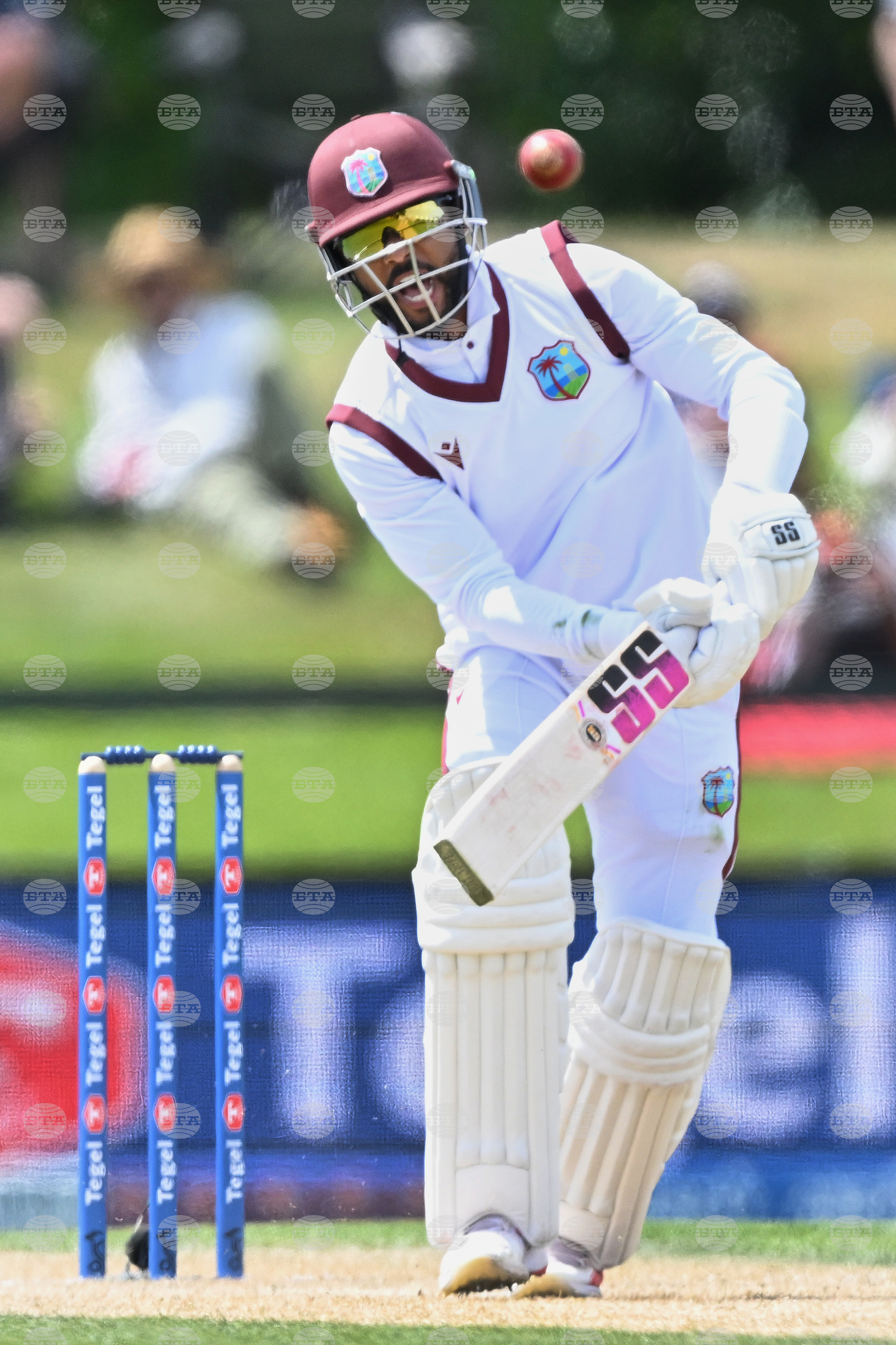 New Zealand West Indies Cricket