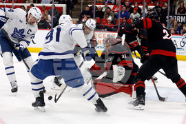 Maple Leafs Hurricanes Hockey