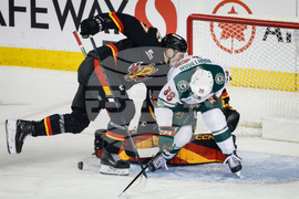 Wild Flames Hockey