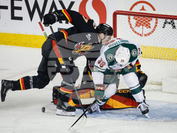 Wild Flames Hockey