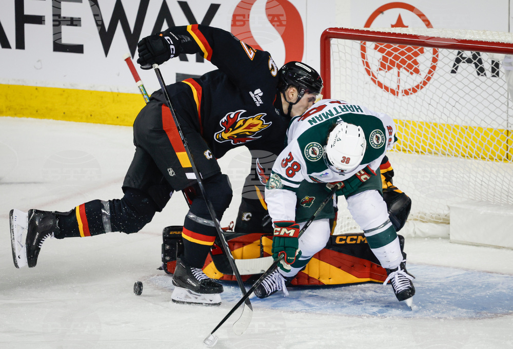Wild Flames Hockey
