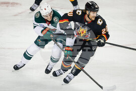 Wild Flames Hockey
