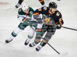 Wild Flames Hockey