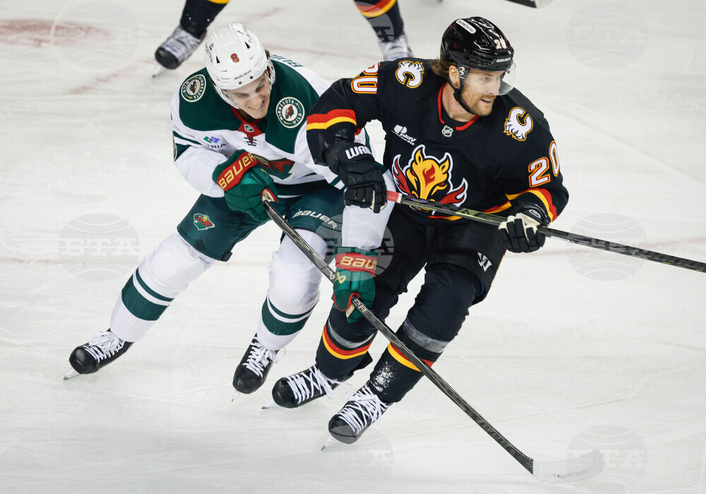 Wild Flames Hockey