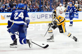 Penguins Lightning Hockey