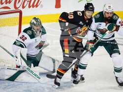 Wild Flames Hockey