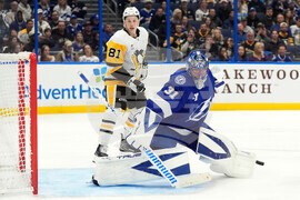 Penguins Lightning Hockey