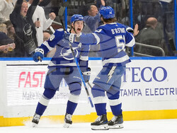 Penguins Lightning Hockey