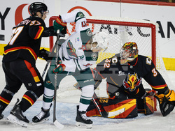 Wild Flames Hockey