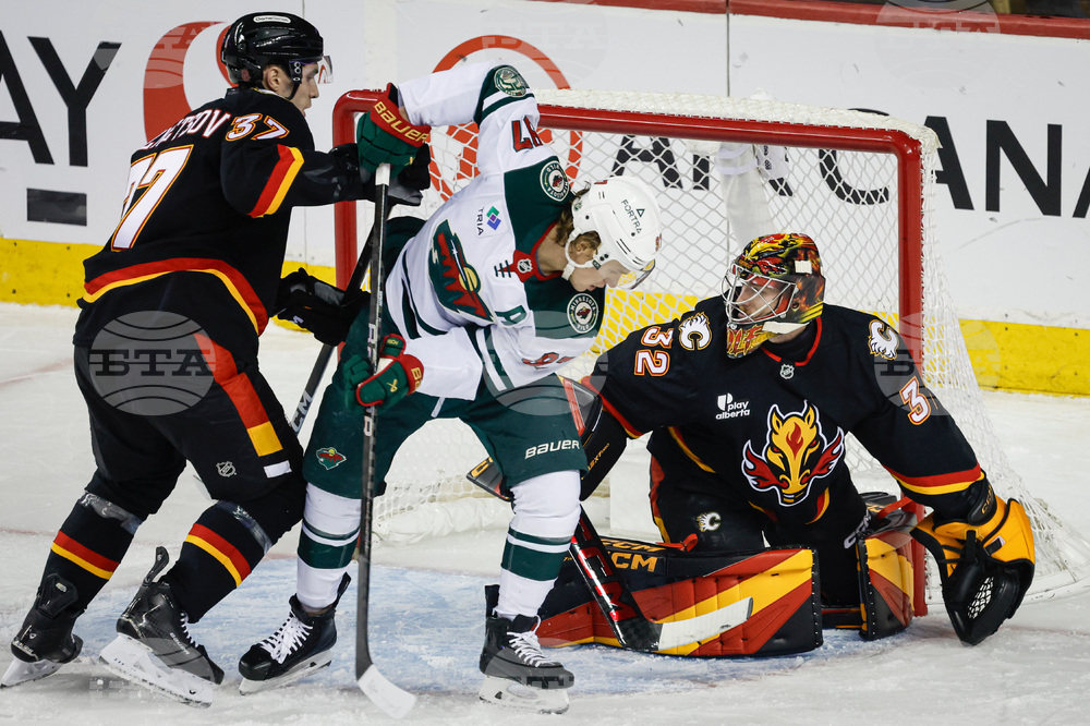 Wild Flames Hockey