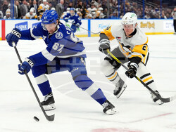 Penguins Lightning Hockey