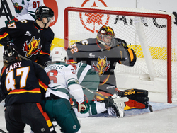 Wild Flames Hockey