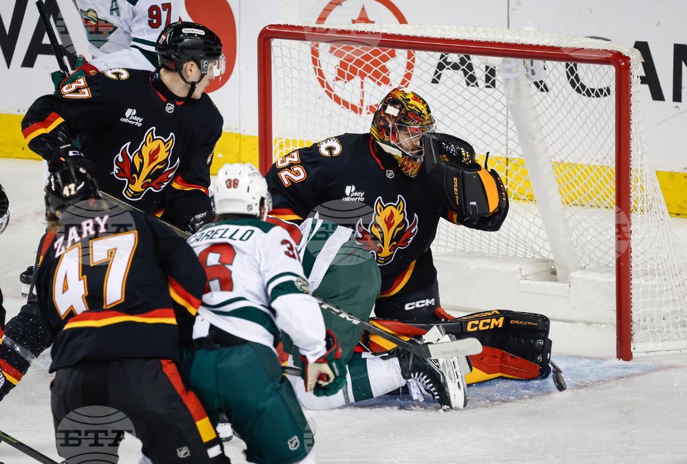 Wild Flames Hockey