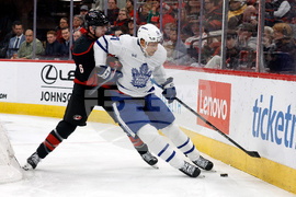 Maple Leafs Hurricanes Hockey