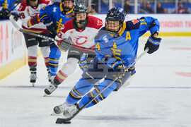 PWHL Charge Sceptres Hockey